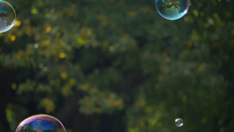 Slow-motion-shot-of-glittering-soap-bubbles-in-the-autumnal-city-park-with-child's-hands-trying-to-catch-them-in-the-middle-of-the-shot