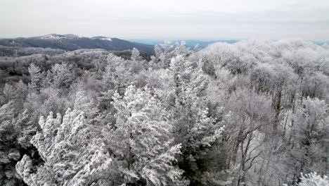 Harter-Raureif,-Gefrierender-Nebel,-Raureif-Und-Raureif-Auf-Bäumen-Im-Winter-In-Der-Nähe-Von-Boone,-North-Carolina,-Und-Blowing-Rock,-North-Carolina,-North-Carolina