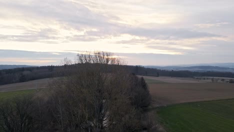 Ein-Kleines-Stück-Gemischter-Bäume-Und-Sträucher-Auf-Großen-Feldern-Bei-Sonnenuntergang-In-Deutschland