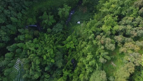 aerial-drone-view-of-dense-forest-with-a-meandering-river