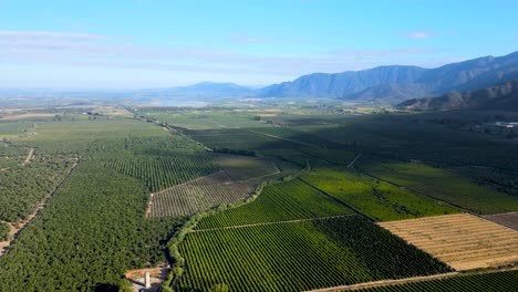 Luftaufnahmen-Von-Grünen-Feldern-Und-Baumwäldern,-Berge-Im-Hintergrund,-An-Einem-Bewölkten-Tag,-Cachapoal-Tal,-Südlich-Von-Santiago,-Chile