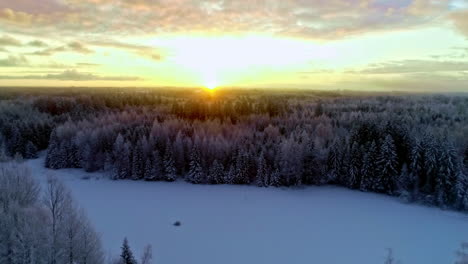 Drohnenaufnahme-Von-Links-Nach-Rechts-Eines-Weißen,-Schneebedeckten-Nadelwaldes-Auf-Dem-Land-Mit-Wunderschönem-Sonnenaufgang-Im-Hintergrund-An-Einem-Winterlichen-Morgen