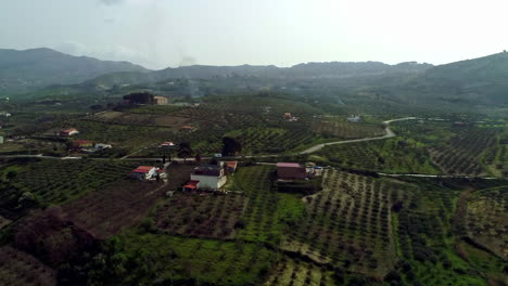 Aerial-overview-over-beautiful-farmland-with-olives-and-oranges-crops-in-Sicily,-Italy-over-hilly-terrain-at-daytime-with-small-cottages-along-a-windy-road