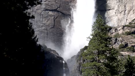 Yosemite-falls-upper-to-lower-view-from-behind-trees,-Tilt-down-reveal-shot
