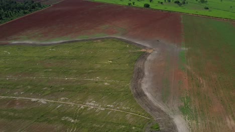 Ackerland,-Das-Für-Die-Sojabohnenproduktion-Genutzt-Wurde,-War-Vor-Der-Abholzung-Einst-Teil-Der-Brasilianischen-Savanne---Luftaufnahme