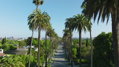 Flying-Through-the-Iconic-Beverly-Hills-Palm-Trees,-Drone-Shot-of-Beautiful-Green-Palms-on-Residential-Beverly-Hills-Street
