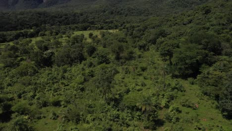 Untouched-land-in-the-Brazilian-Savannah-along-the-Amazon-rainforest-is-targeted-for-deforestation---aerial-flyover