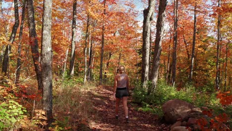 Aerial,-girl-in-fitness-clothes-walking-outdoors-in-red-autumn-tree-forest