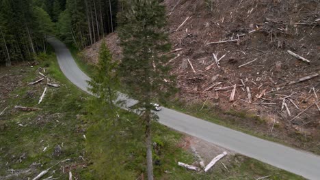 Tracking-a-lone-white-SUV-from-high-up-as-it-drives-through-a-recently-clear-cut-forest,-aerial