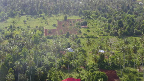 House-with-red-roof-at-tropical-plantation-with-palms,-drone-shot