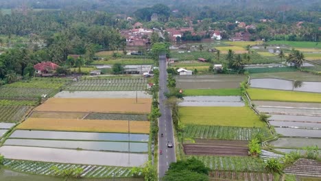 Road-passes-through-rice-fields-with-Mungkid-village-in-background,-Central-Java-in-Indonesia