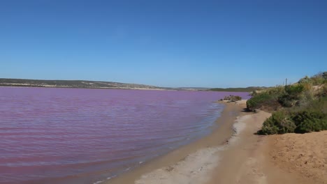 Panorámica-Del-Lago-Rosa-De-La-Laguna-Hutt,-Kalbarri,-Australia-Occidental