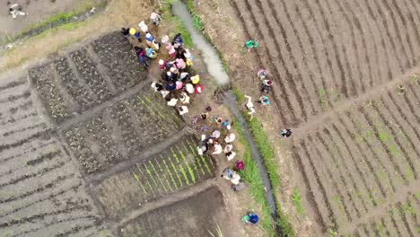 Trabajadores-De-Campo-Agrícola-En-África,-Preparándose-Para-Trabajar-En-El-Campo-De-Maíz