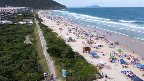 Aerial-view-of-tropical-tourist-beach-with-hotels-and-summer-houses-facing-the-sea-with-many-people-on-the-sand