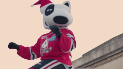 Niagara-Ice-Dogs-mascot,-Bones,-waves-in-Christmas-parade,-Niagara-Falls-Canada
