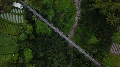 Toma-Vertical-De-Drones-De-Un-Puente-Colgante-De-Metal-Construido-Sobre-Un-Valle-Con-Un-Río-En-El-Fondo-Y-Rodeado-De-árboles-Y-Plantaciones-De-Hortalizas.