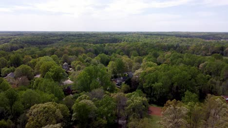 Luftaufnahme-Von-Den-Bäumen-Zum-Himmel-In-Der-Nähe-Von-Winston-Salem,-North-Carolina,-North-Carolina
