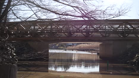 Ansteigende-Laibung-Einer-Brücke-über-Einen-Kleinen-Fluss-Mit-Baum-Darüber