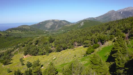 Montañas-De-Bosques-Caducifolios-Y-Coníferos-Con-Vistas-Al-Mar-Jónico-En-La-Riviera-Albanesa