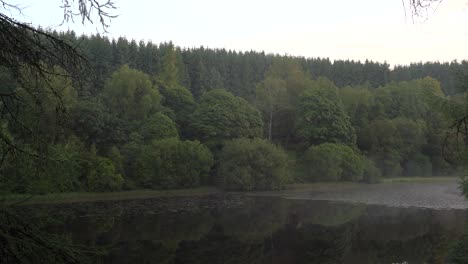 Ein-Friedlicher-Waldsee-Bei-Sonnenaufgang-Mit-Nebel-Auf-Dem-Wasser