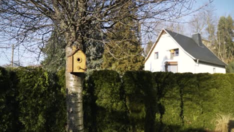 Birdhouse-hanging-on-a-tree-in-a-garden