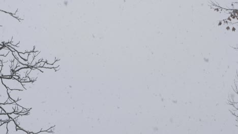 SLOW-MOTION:-Heavy-snowfall,-many-snowflakes