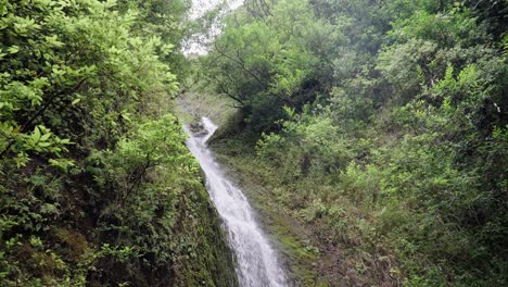 Grüner-Strauch-Umgibt-Einen-Wasserfall-In-Hawaii