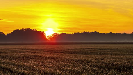 Scenic-Timelapse-At-Golden-Hour-Sunset-On-Farmland-With-Wheat-Fields