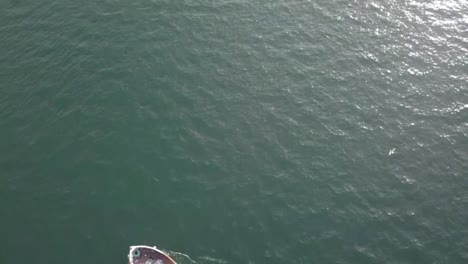 A-Scottish-fishing-trawler-seen-from-above-as-seagulls-fly-around-it