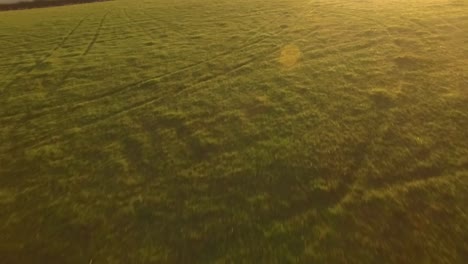 Aerial-flyover-of-agricultural-grassland-with-reveal-of-sunrise-and-lens-flare