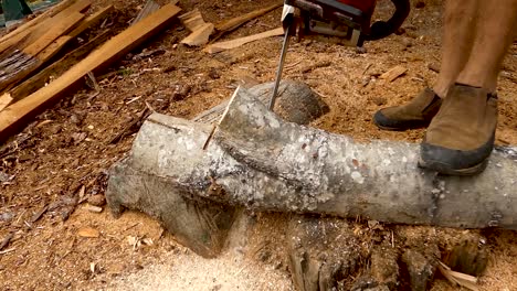 mid-shot-of-chain-saw-blade-cutting-wood-for-firewood
