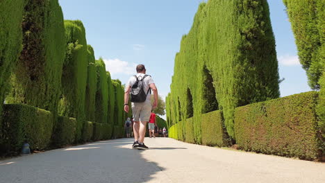 Tourists-walk-next-to-hedges-and-cypresses-in-Alhambra,-Granada,-Spain