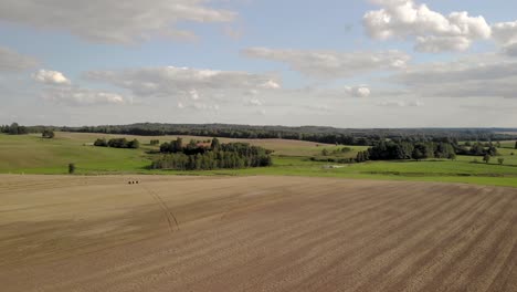Aerial-shot-on-swowing-field-after-harvest,-brown-area-waiting-for-gorwing-plants,-on-horizont-trees-and-beautiful-sky,-drone-shot