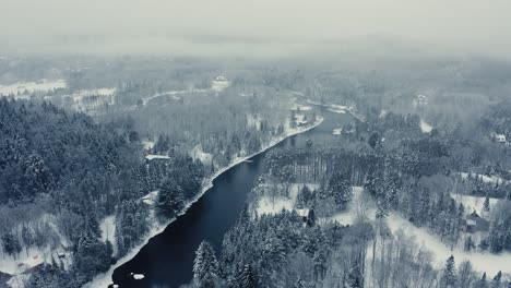 Neblige-Winterlandschaft---Drohnenfliegen-4k---Berge---Bäume,-Flüsse,-Schneebedeckte---Filmische-Bäume