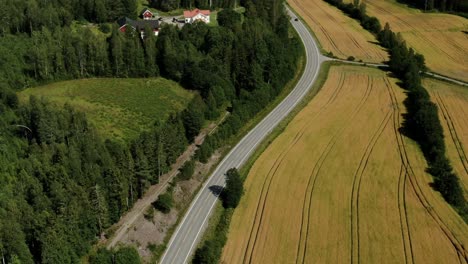 Aerial-orbital-view-of-a-road-with-driving-cars,-dividing-fields-and-the-pine-forest-in-the-country-side-in-sunny-day