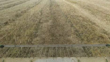Inside-the-cab-view-of-a-combine-taking-in-a-nice-canola-swath-to-thresh