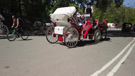 Horse-carriages-in-Central-Park-New-York-are-a-popular-tourist-attraction-and-provide-a-fun-experience-in-Manhattan-sightseeing-destination