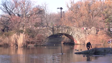 Central-Park-Gapstow-Bridge,-Distant-View-of-People-Sitting-by-Pond-During-Christmas-Holiday-Time
