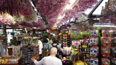 Der-Blumenmarkt-„Bloemenmarkt“-In-Amsterdam-Ist-Eine-Touristenattraktion,-Die-Souvenirs,-Blumen-Und-Samen-Anbietet-Und-Eines-Der-Wichtigsten-Reiseziele-In-Amsterdam,-Niederlande-Und-Europa-Ist