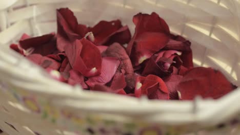 Rote-Rosenblütenblätter-Fallen-Auf-Den-Holzboden