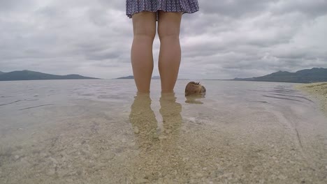 A-60-fps-video-of-a-coconut-drifting-slowly-next-to-a-girl-standing-on-the-waters-edge