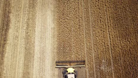 Looking-down-on-a-combine-as-it-harvests-corn-then-descending-into-the-trailing-dust-plume---aerial-view