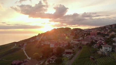 drone-footage-of-swiss-near-Leman-Lake,-showing-grape-fields,-boats,-harbor,-small-towns