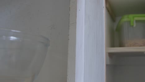 locked-off-close-up-shot-of-a-man-painting-a-wood-cupboard-white-with-paint-brush