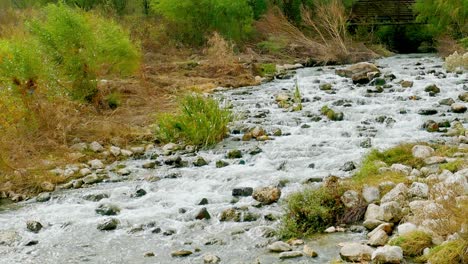 Panning-right-river-bed-with-shrubs-on-riverbank-to-water-flowing-over-rocks-with-stream-flowing-over-them