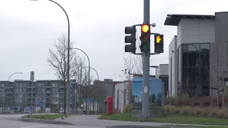 Ampel-Auf-Rot-An-Einer-Wohnkreuzung,-Während-Ein-Schwarzes-Auto-über-Den-Rahmen-Fährt