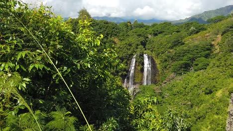 HD-Zeitlupen-Hawaii-Kauai-Statik-Von-„Opaeka“-Wasserfällen-Mit-Hohem-Gras-Und-Bäumen-Im-Vordergrund-Und-Wolken-In-Der-Ferne