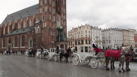 Krakow-Poland-coach-and-horses-sightseeing-attraction-in-front-of-St-Marys