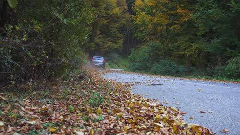 Ein-Auto-Fährt-Durch-Eine-Straße-Im-Wald-Und-Bläst-Die-Abgefallenen-Blätter
