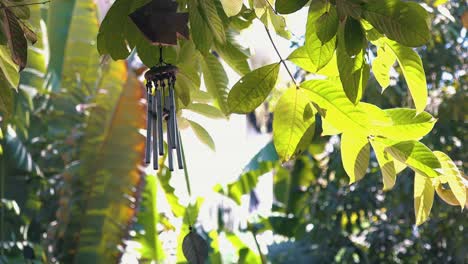 Wind-Chimes-Hanging-From-a-Tree-in-the-Sunlight